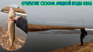 В этом ручье полно щук! Открытие сезона жидкой воды 2026 #щука #рыбалка #хмао