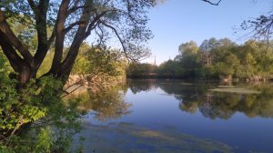 Ловля красивой рыбки в мае на поплавок.