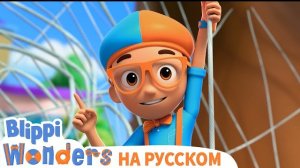 Паутина | Чудеса Блиппи | Обучающие мультики для детей | Blippi Russian