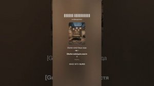 VI. Голос автора