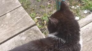 Кого то или что то не поделили.