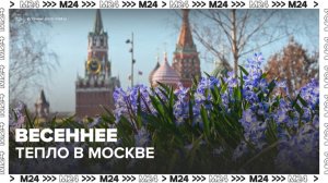 Весеннее тепло вернулось в Москву - Москва 24