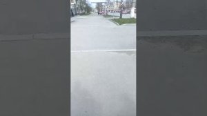 стрим прогулка по вые
