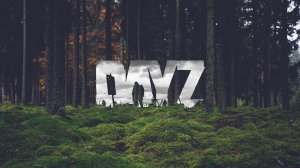 DayZ: Европа-1 30.04.26