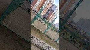 стоит ли мне снимать исипи?