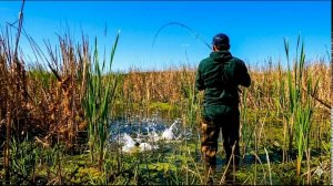НАШЁЛ ЛУЖУ ПОЛНУЮ РЫБЫ 30 СМ ГЛУБИНЫ рыбалка на удочку весной