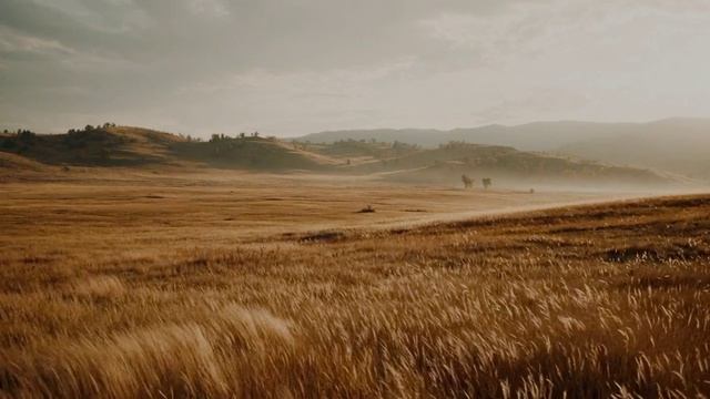 video_273 ВЛАДИМИР