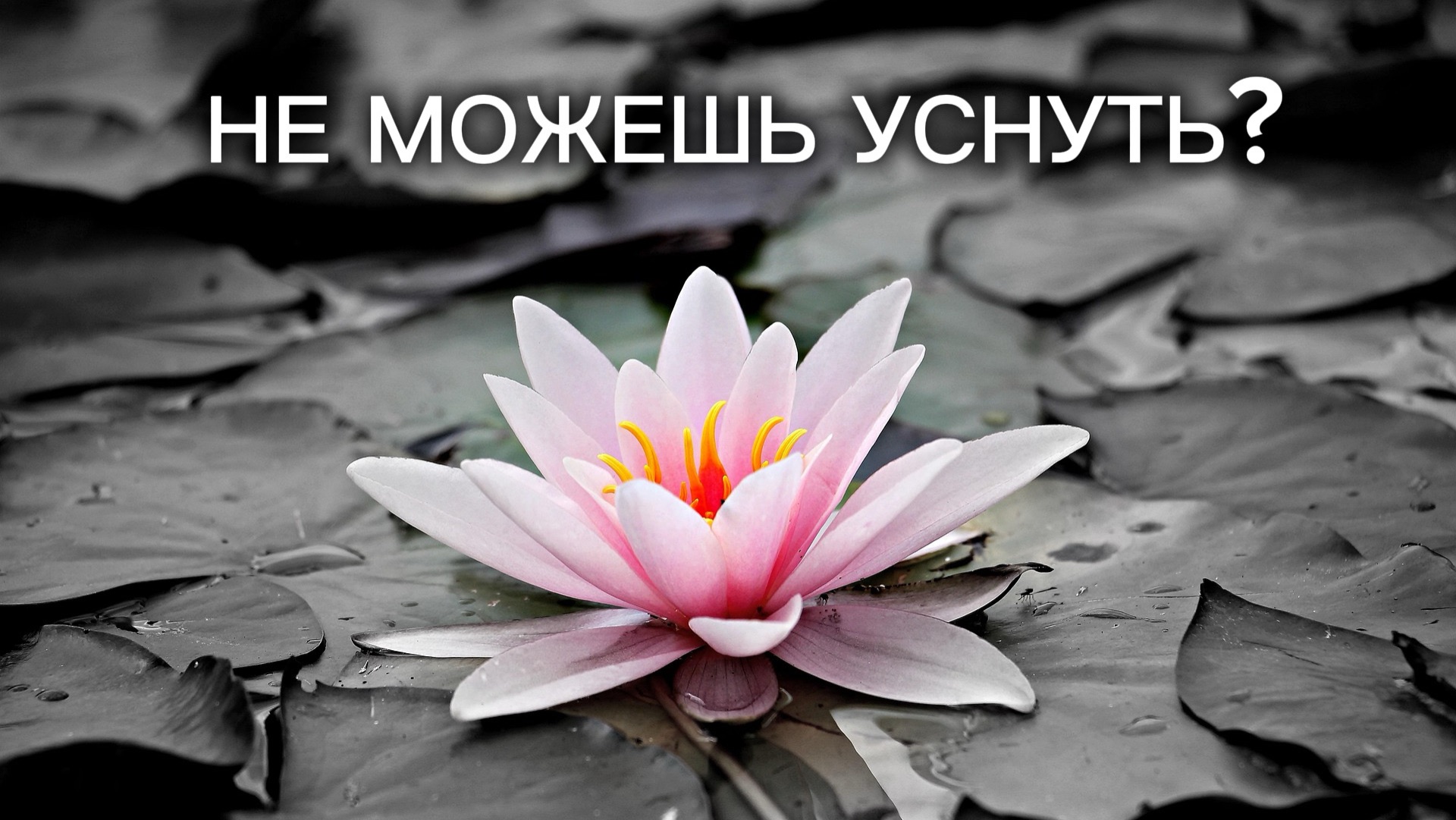 Полное расслабление тела 1 час🌿