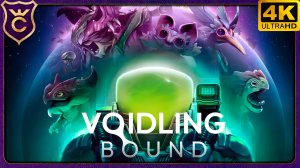 НОВЫЙ ВЗГЛЯД НА ПОКЕМОНОВ! Voidling Bound Demo