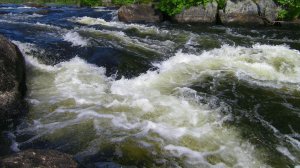 Водный поход 3 к.с., р. Писта
