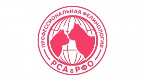 Как получается породистый котенок