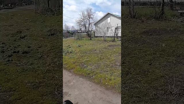 Мы с папой едем на мотоблоке смотреть онлайн