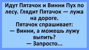 Идут Пятачок и Винни Пух по лесу. Глядит Пятачок — лужа на дороге... | Анекдоты смешные | Юмор