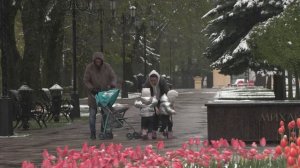 Майская погода подарила  ставропольцам красивый зимний пейзаж