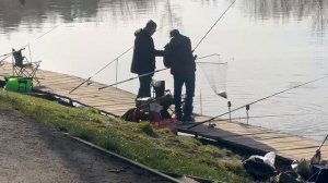 Основной водоём.Форель