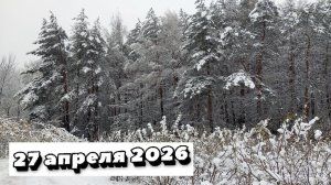 Салтыковский лесопарк, 27 апреля 2026, Снежная буря