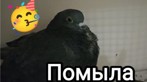 02-05-2026. Наконец-то помыла окно!