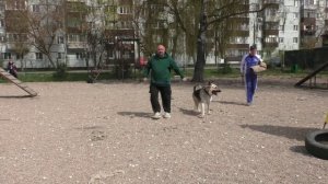ПРК_Бойкая Стая Шерстяной Зевс Громовержец