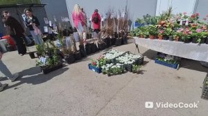 Влог/277/ Завтрак/ Мать и сын не дружат/ Что купили на ярмарке..