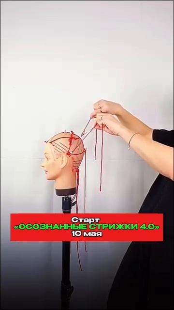 Обучение стрижкам