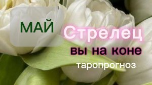 Стрелец♐️ Ваш май 2026
