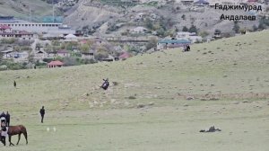 Скачки в с. Ансалта. На 9 кругов. 2.05.2026 год