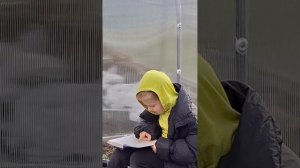 Ремонт теплицы