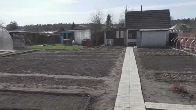 Посадка лука севка