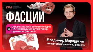 Фасции | Владимир Меркурьев | Бесплатный курс «Персональный тренер»