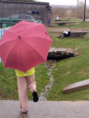 Прогулка по деревне/София Арт Лайв.