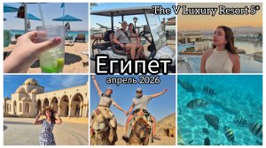 Влог из Египта | The V Luxury Resort | Сахл Хашиш