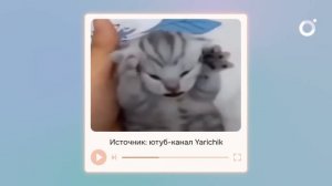 Всё, что ты знал о шизофрении — мифы из фильмов. Вот правда