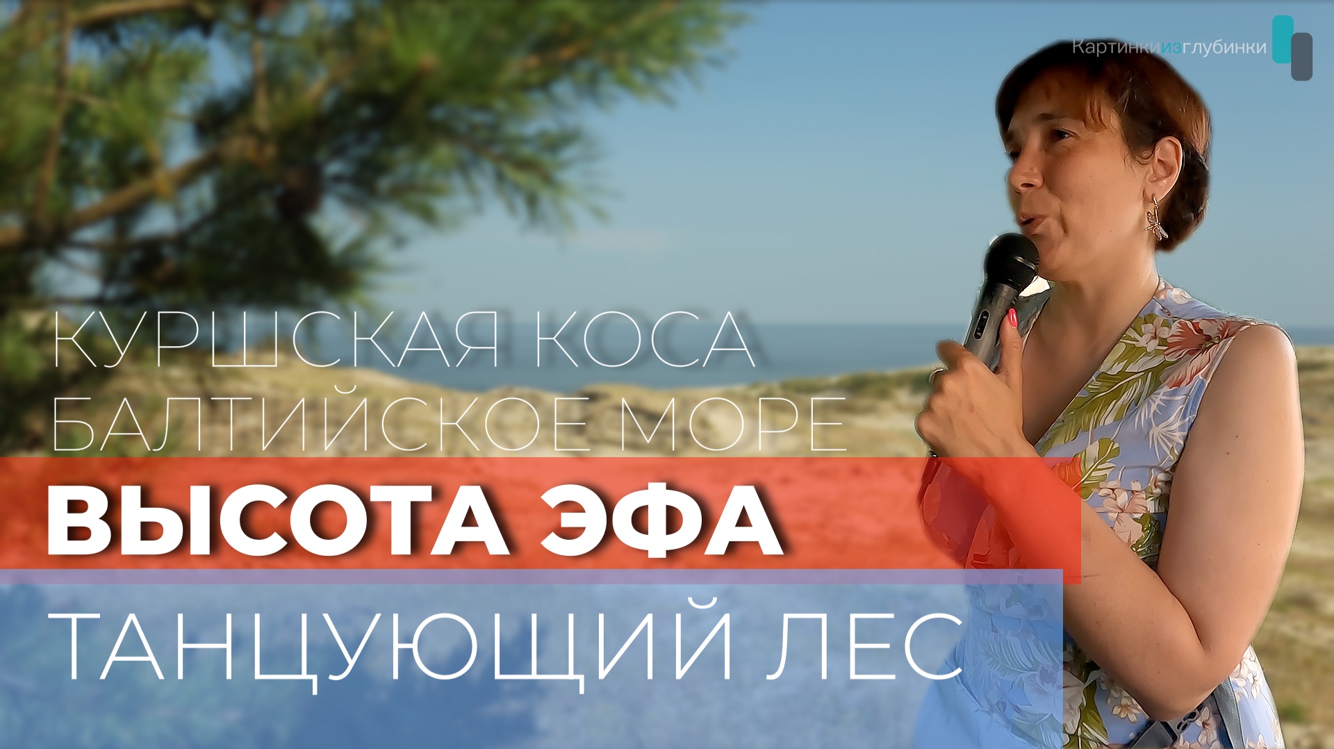 Танцующий лес. Высота Эфа. Балтийское море. Калининградская область. 4К