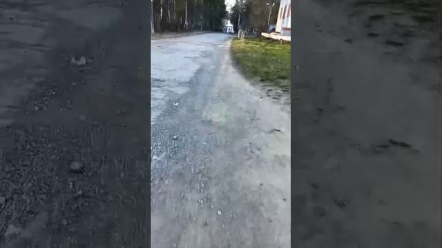 вечерний стрим