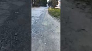 вечерний стрим