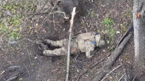 Подразделения группировки войск «Север» взяли под контроль Мирополье в Сумской области.