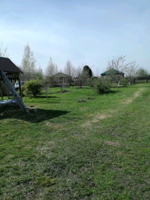 Обзор на улицу (летний)