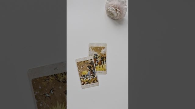 Что вас ждёт в карьере?
#таро #tarot #работа