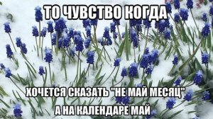 ХОЛОДНЫЙ МАЙ