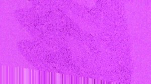 Klasky Csupo Round 5