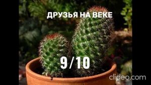 ОЦЕНКА КАКТУСОВ Ч4 (глава 2, ч1)