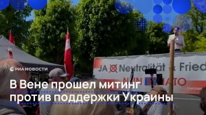 В Вене прошел митинг против поддержки Украины