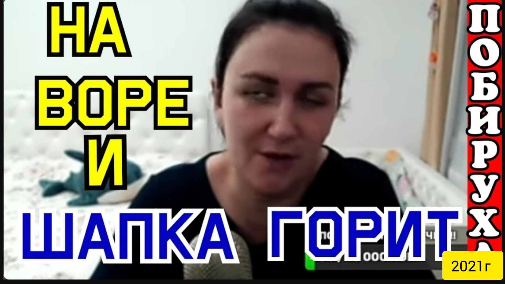 Деревенский дневник очень многодетной мамы _Мать-героиня _На воре и шапка горит _Обзор Стрим _