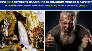 ПРИЧИНА СУРОВОГО НАКАЗАНИЯ ВСЕВЫШНИМ МОИСЕЯ И ААРОНА? ((часть 2) СЛУЖЕНИЕ)