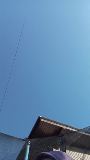 батут