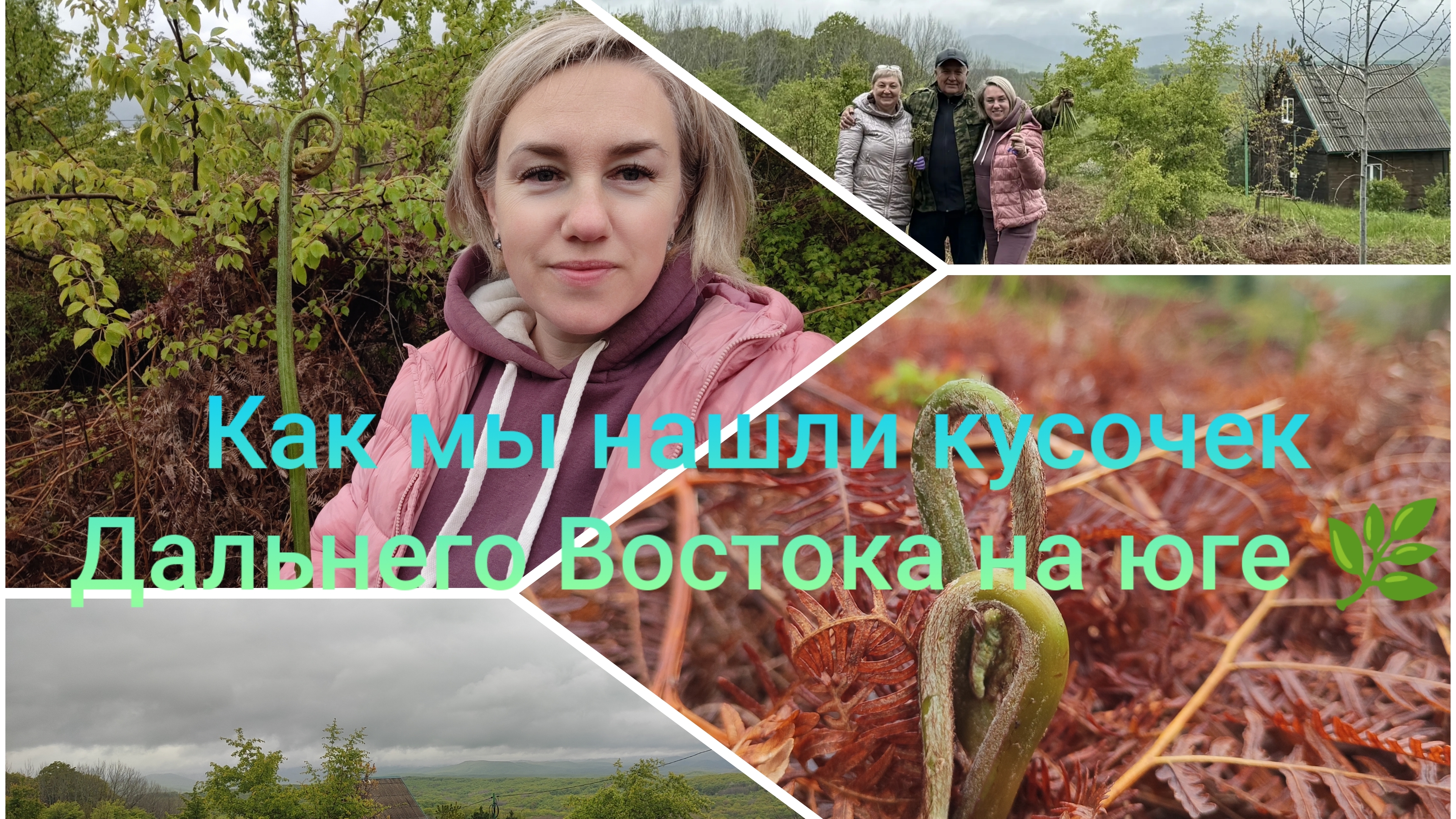 Влоги с Кубани 🌞 Папоротник в предгорьях: как мы нашли кусочек Дальнего Востока на юге🌿