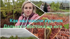 Влоги с Кубани 🌞 Папоротник в предгорьях: как мы нашли кусочек Дальнего Востока на юге🌿