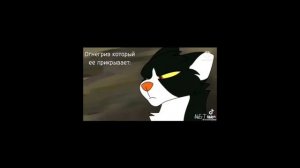 залити, пж💘🫠