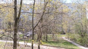 2026-05-02 Вид из окна, 2 мая 2026