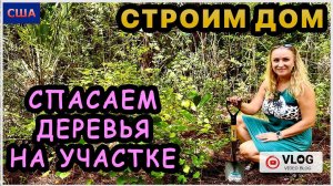 Новости со стройки. Спасаем деревья на участке. Утренний океан. Строим дом мечты. США. Флорида